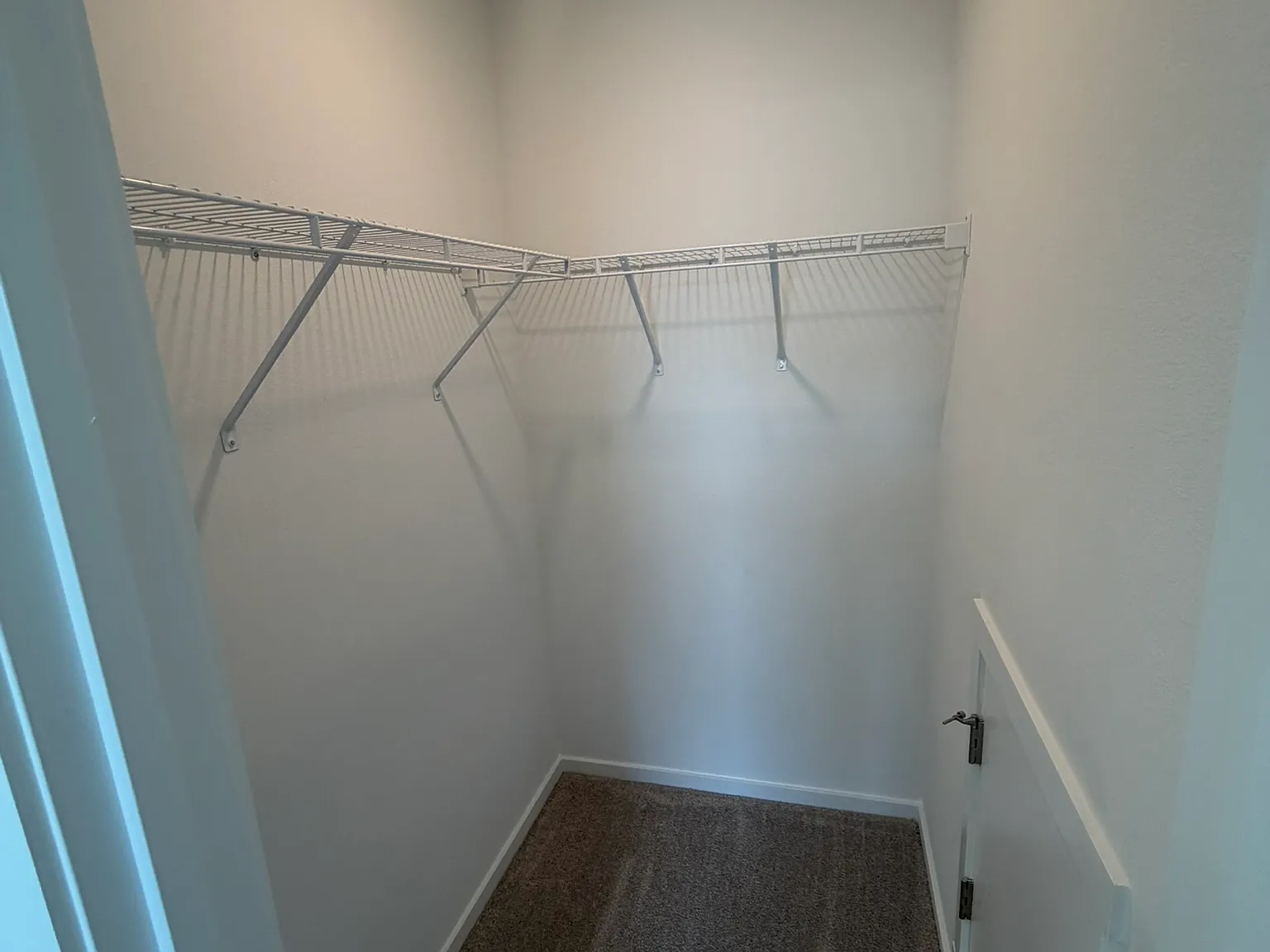 4 bed, 1910 sqft, $795 — Photo 4