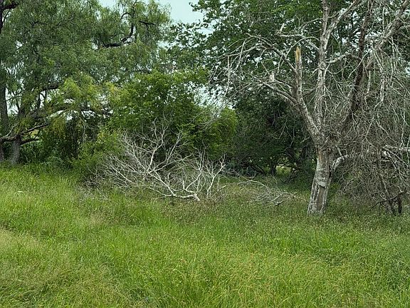 3rd image of 6038 County Road 405 LOT 10