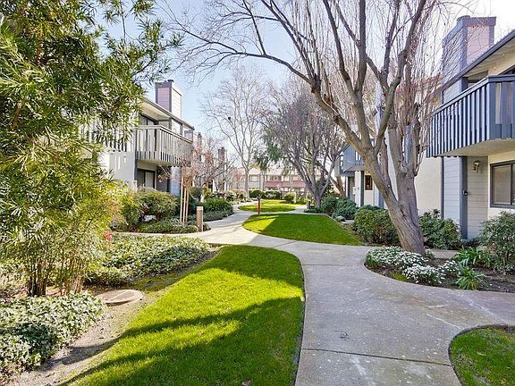 Common Area Landscaping