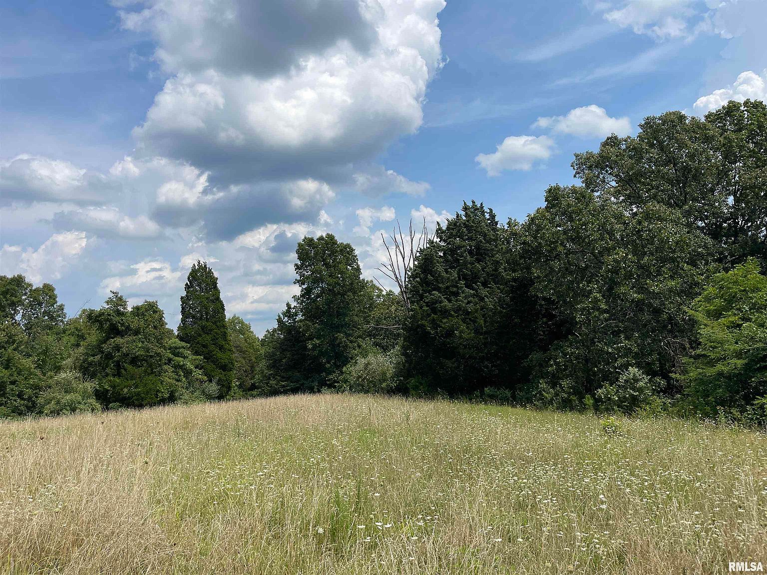 0 Gape Hollow Rd, Herod, IL 62947 Zillow