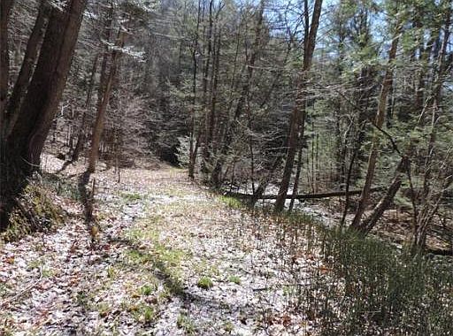 2nd image of 298 Brook Rd