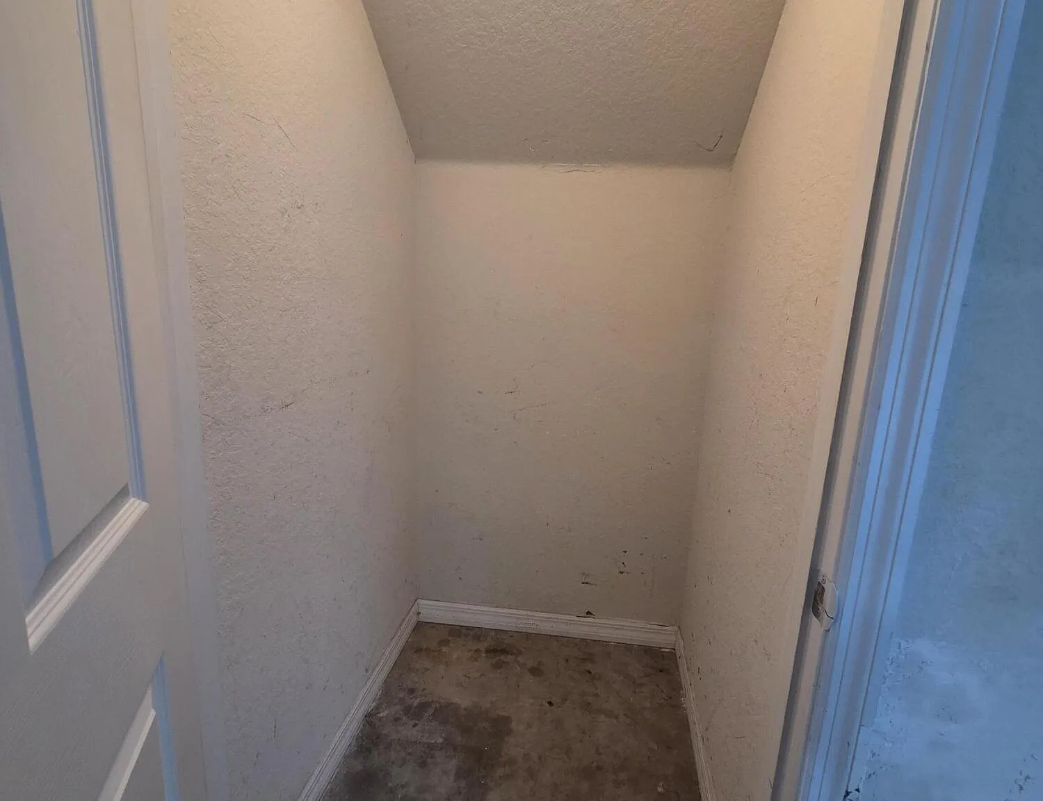 118 Black Ironwood Rd — Photo 4