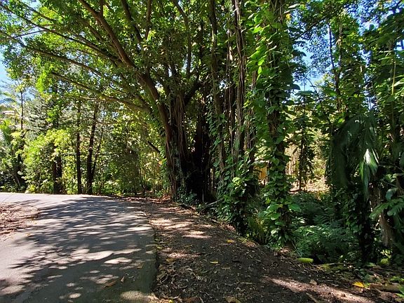 3rd image of 31345 Old Mamalahoa Hwy Lot 3-2