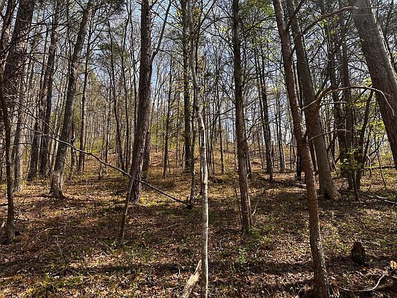 4th image of 0 Long Branch Rd #0