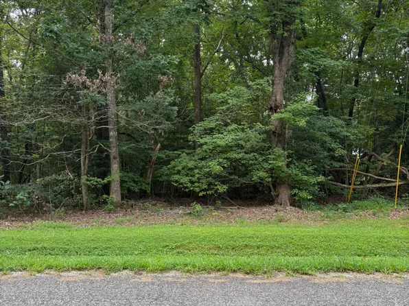 53 Tanglewood Dr Lot 53, Bracey, VA 23919