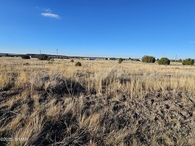 167 County Road 2005, Nutrioso, AZ, 85932