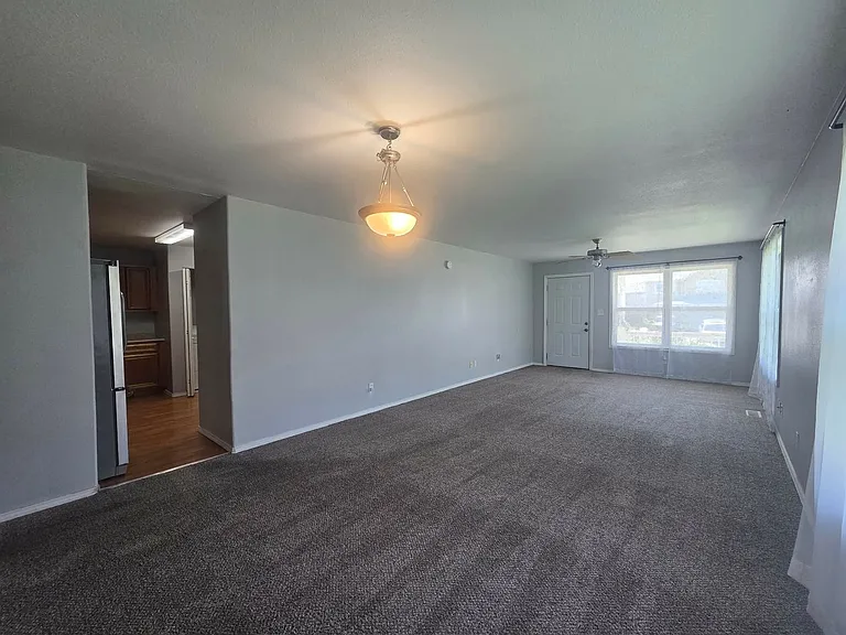 906 Whitetail Ct — Photo 4