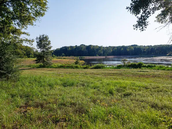 0 County Road 480 #1, Lindale, TX 75771