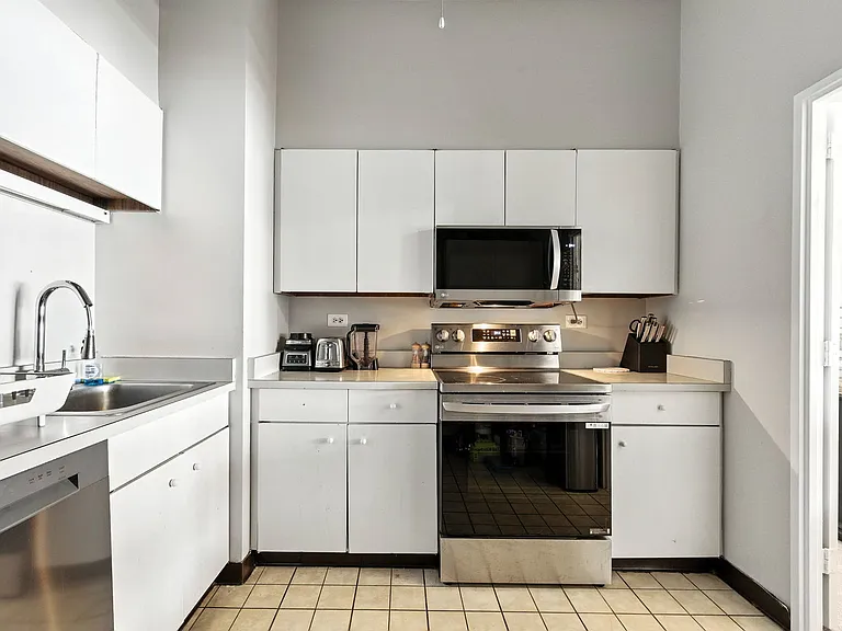 175 E Delaware Pl #5501 — Photo 5
