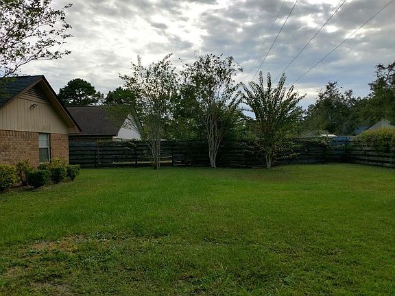Backyard2