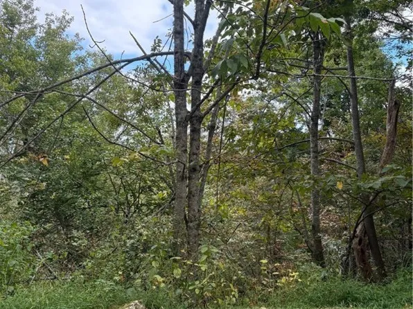 TDB Nettles Ridge Road, Banner Elk, NC 28604