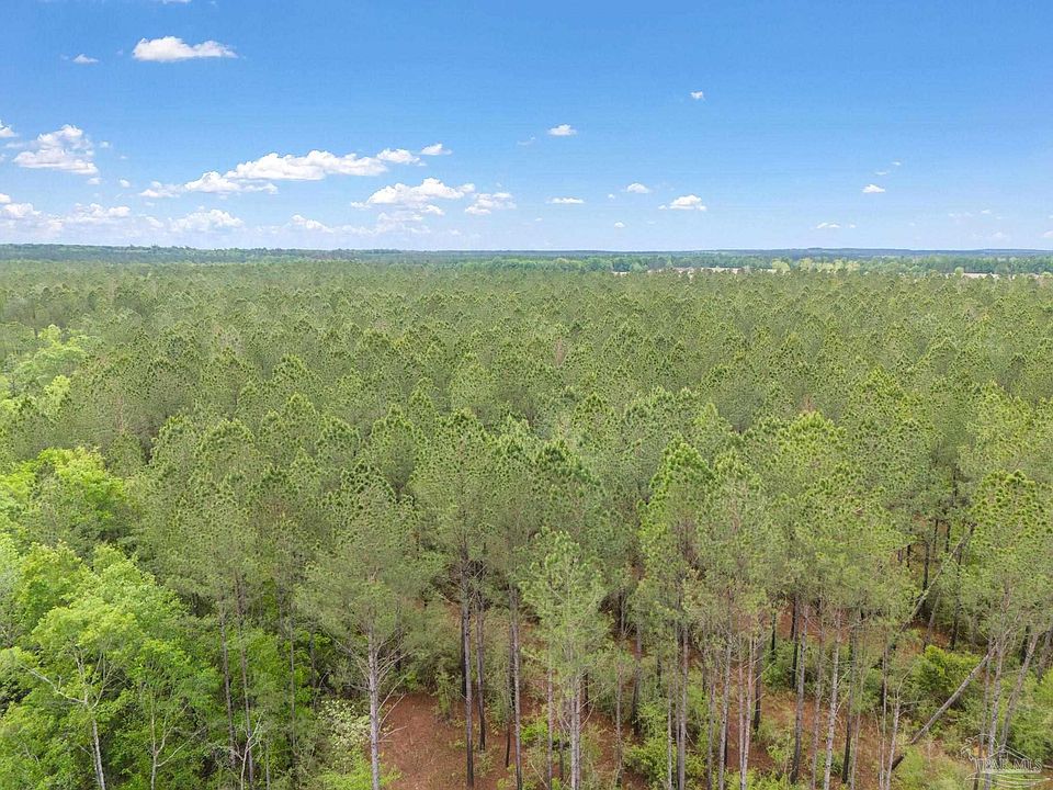 2nd image of LOT 7 Mineral Springs Rd