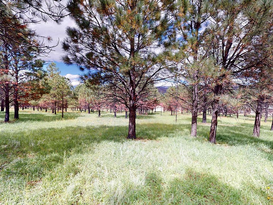 1st image of 89 Pino Ct