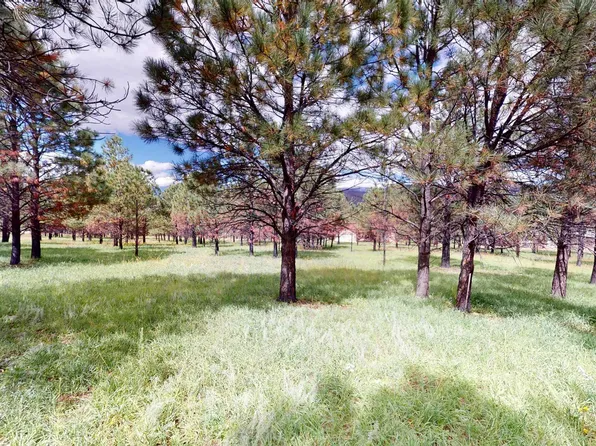 89 Pino Ct, Rociada, NM 87742
