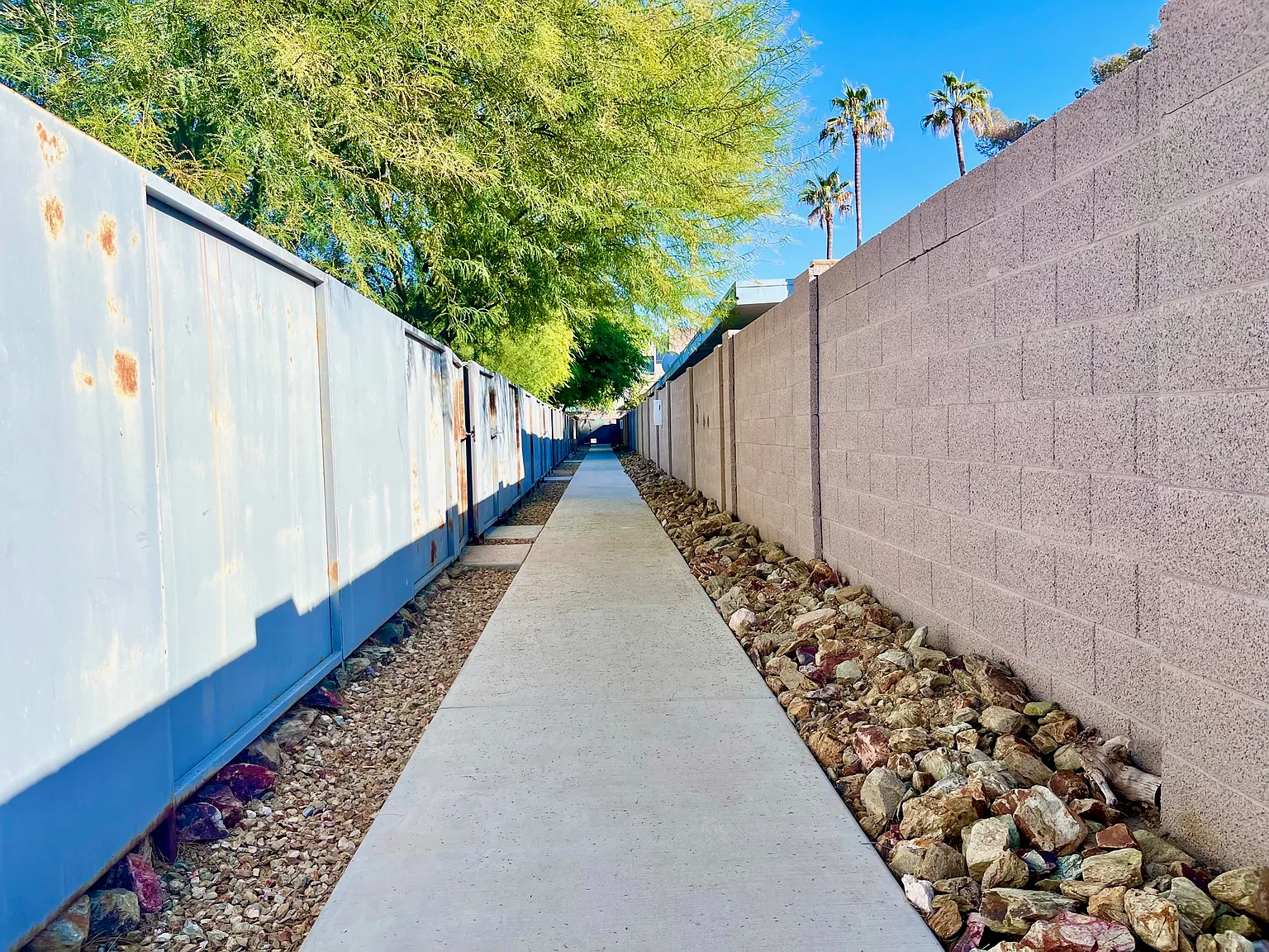 1 bed, 750 sqft, $1,595 — Photo 4