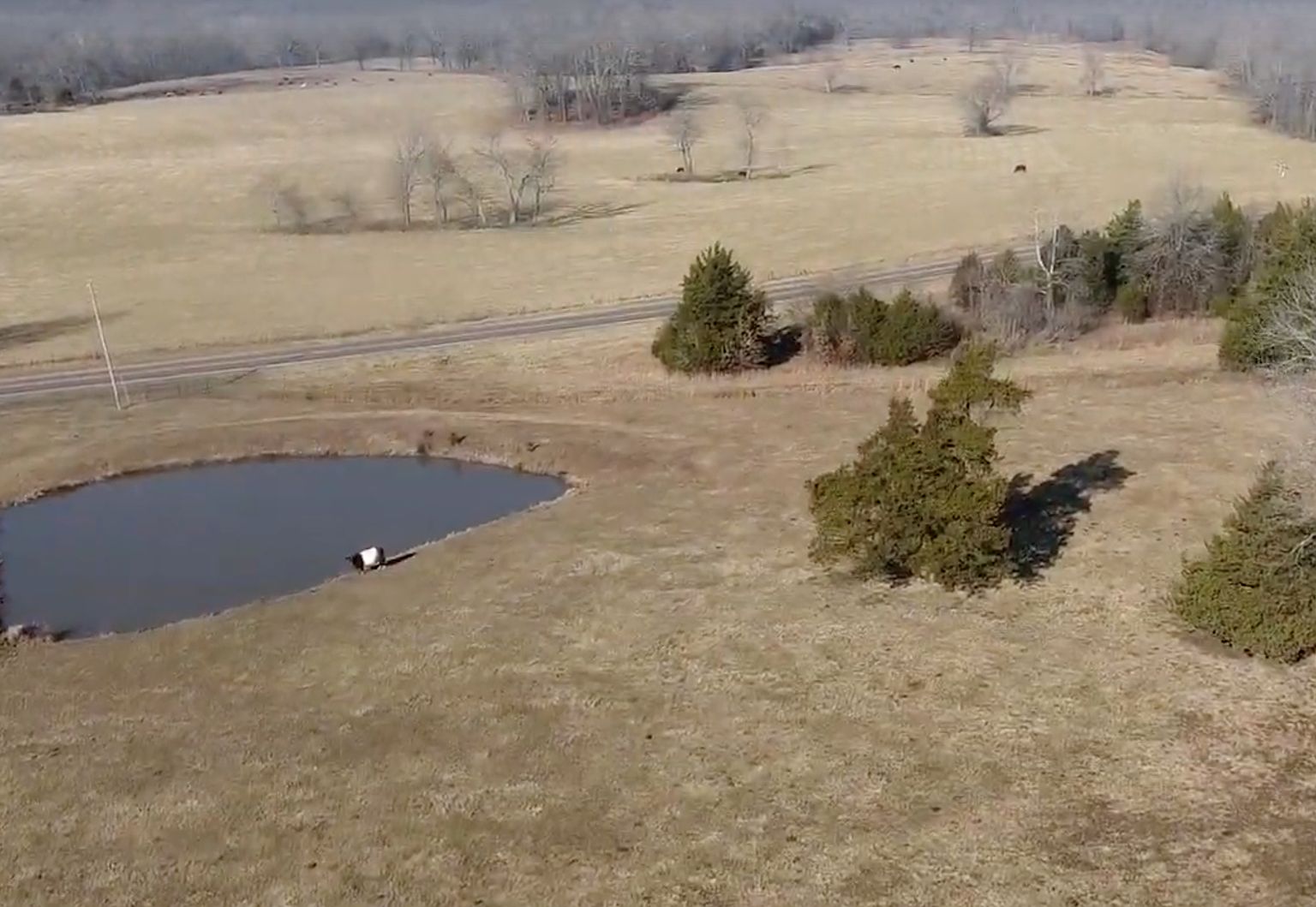 3880 Us Highway 160, Koshkonong, MO 65692 Zillow