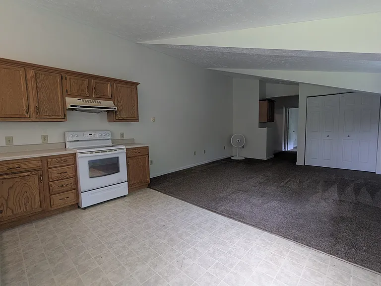 Kitchen and living room