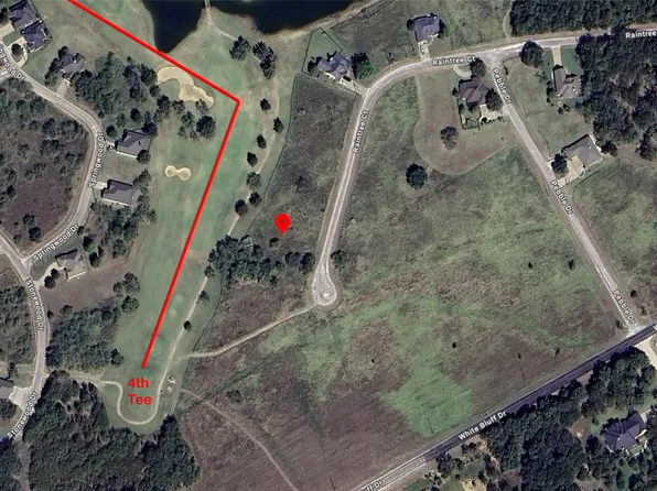 22026 Raintree Ct, Whitney, TX 76692