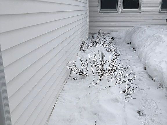 2nd image of 81 Fairmont Pl #81