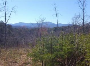 176 Deer Jump Trl, Lake Lure, NC 28746