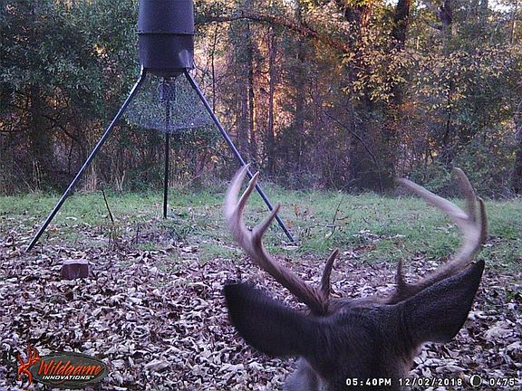 4th image of 7413 Davenport Hwy