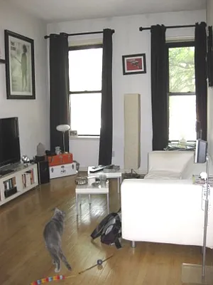 Rented by Citi Habitats | media 26