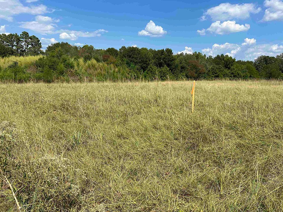 2nd image of County Road 4489