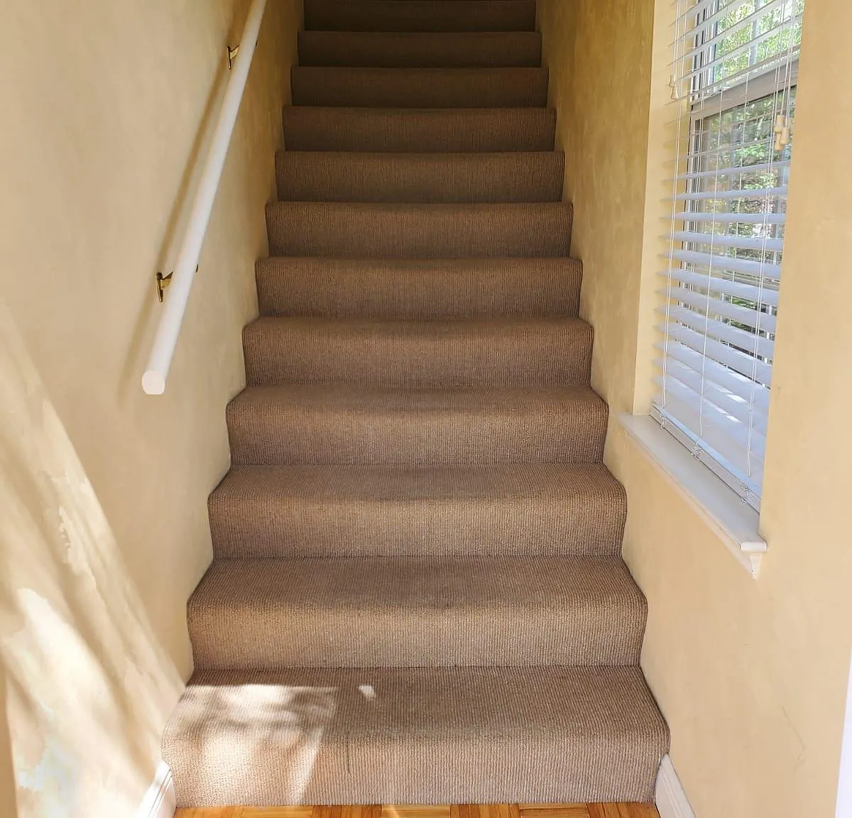 Studio, 440 sqft, $1,150 — Photo 1