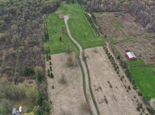 10947 Smiths Creek Rd, Riley, MI 48041
