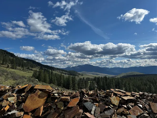 139 Blooming Hills Ln, Plains, MT 59859
