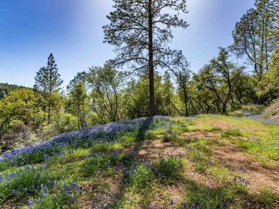 Rancho Canyon Rd, Sutter Creek, CA, 95685