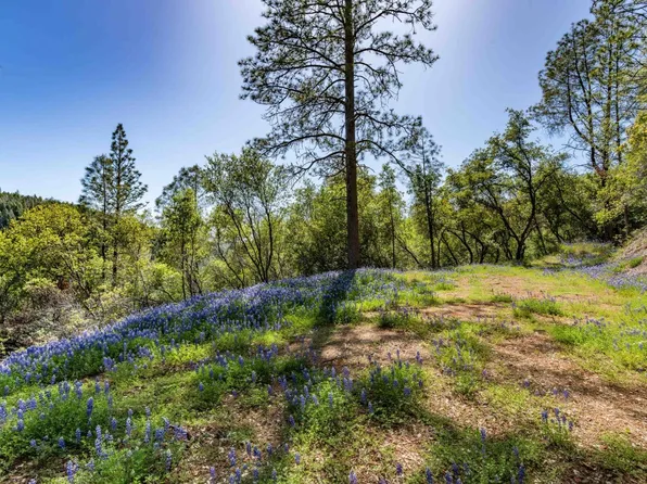 Rancho Canyon Rd, Sutter Creek, CA 95685