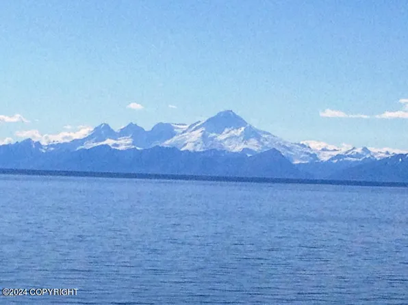 32675 Shorebird Ln, Anchor Pt, AK 99556