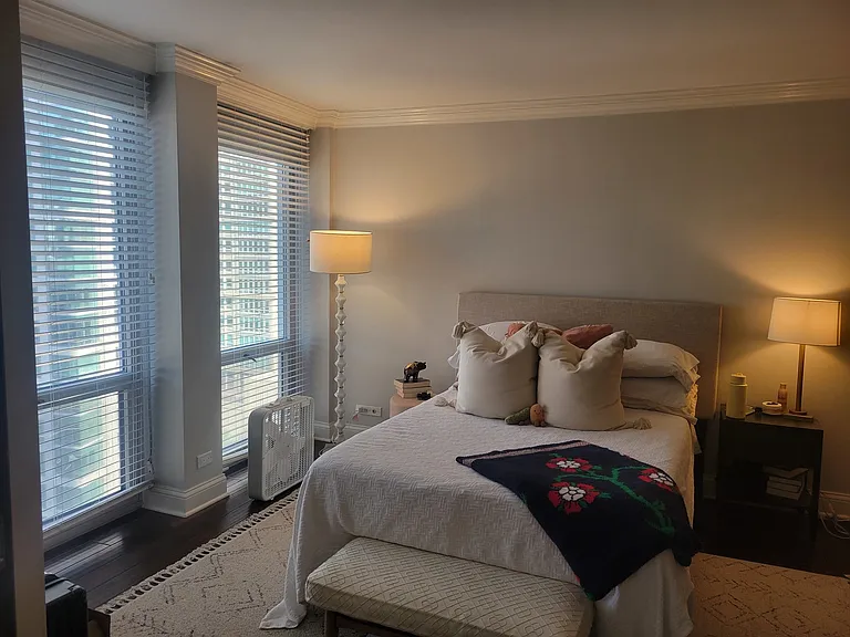 111 E Chestnut St #20D — Photo 6