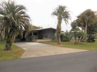 29 Seminole Path, Wildwood, FL 34785