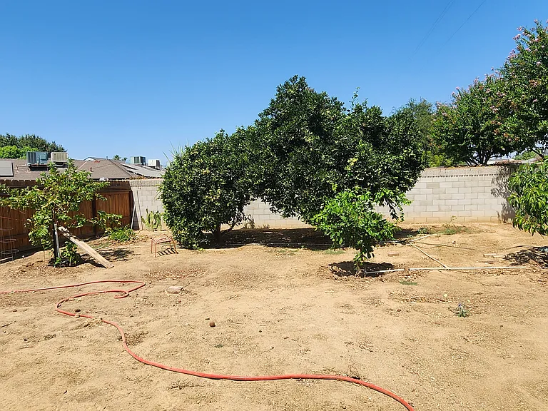 2 types of Orange trees, Guava tree, great fruit tree, sugar cane, and avocado tree.
