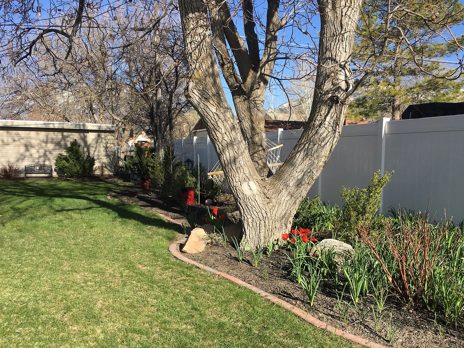 4 bed, 1100 sqft, $1,800 — Photo 4