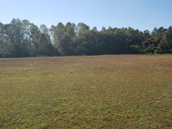 0 Daisy Cir, Glennville, GA 30427