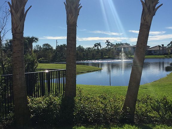 backyard view
