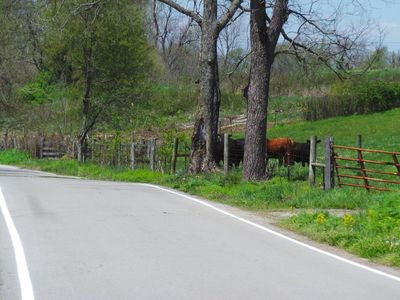 2156 L E Junction Rd, Winchester, KY, 40391