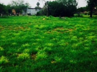 209 N 1st St, Donna, TX 78537