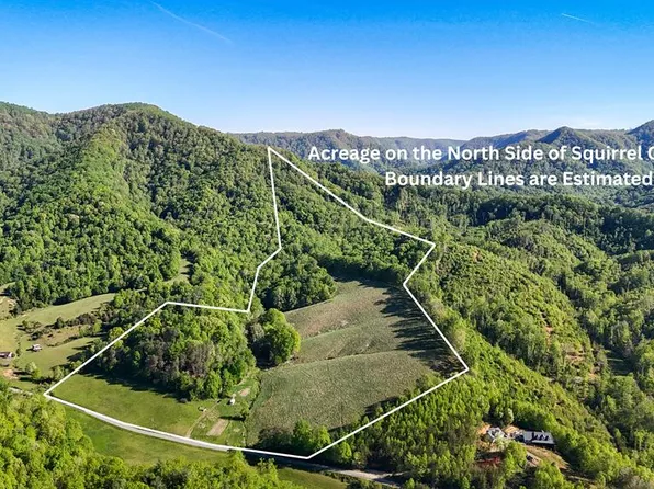 1618 Squirrel Creek Rd, Ararat, VA 24053