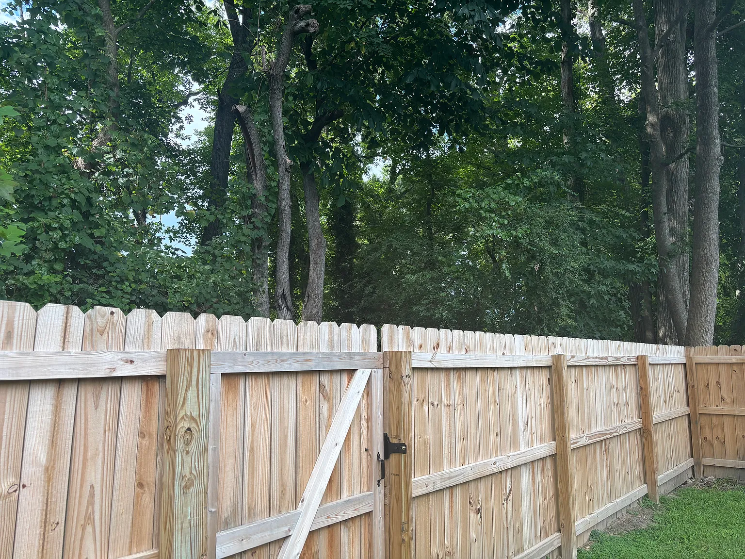3 bed, 1366 sqft, $2,300 — Photo 4