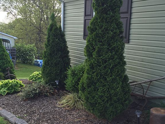 3rd image of 161 Creek Bend Dr