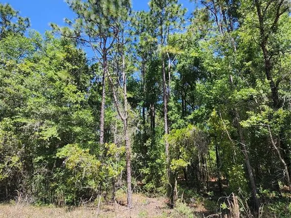 W 1/2 Of Block 177 Rolling Hls Lot 2, Ocala, FL 34481