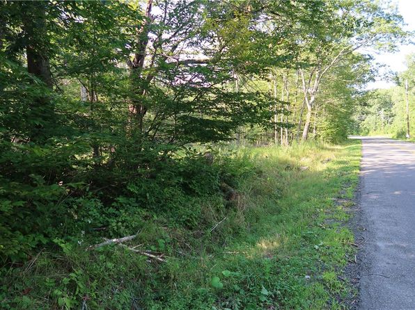 LOT 7 German Rd, Willet, NY 13863