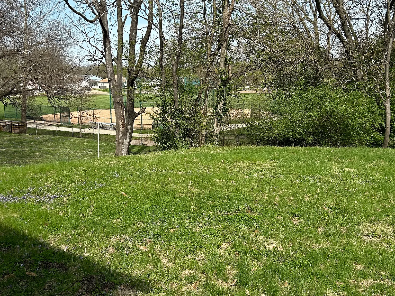 3 bed, 1050 sqft, $1,795 — Photo 2
