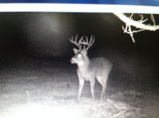 1633 Kino Eighty Eight Rd, Eighty Eight, KY 42130