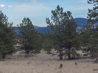 9999 Deer Ln, Guffey, CO 80820