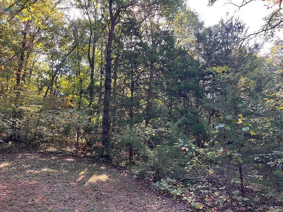 2nd image of 10313 Northwood Dr